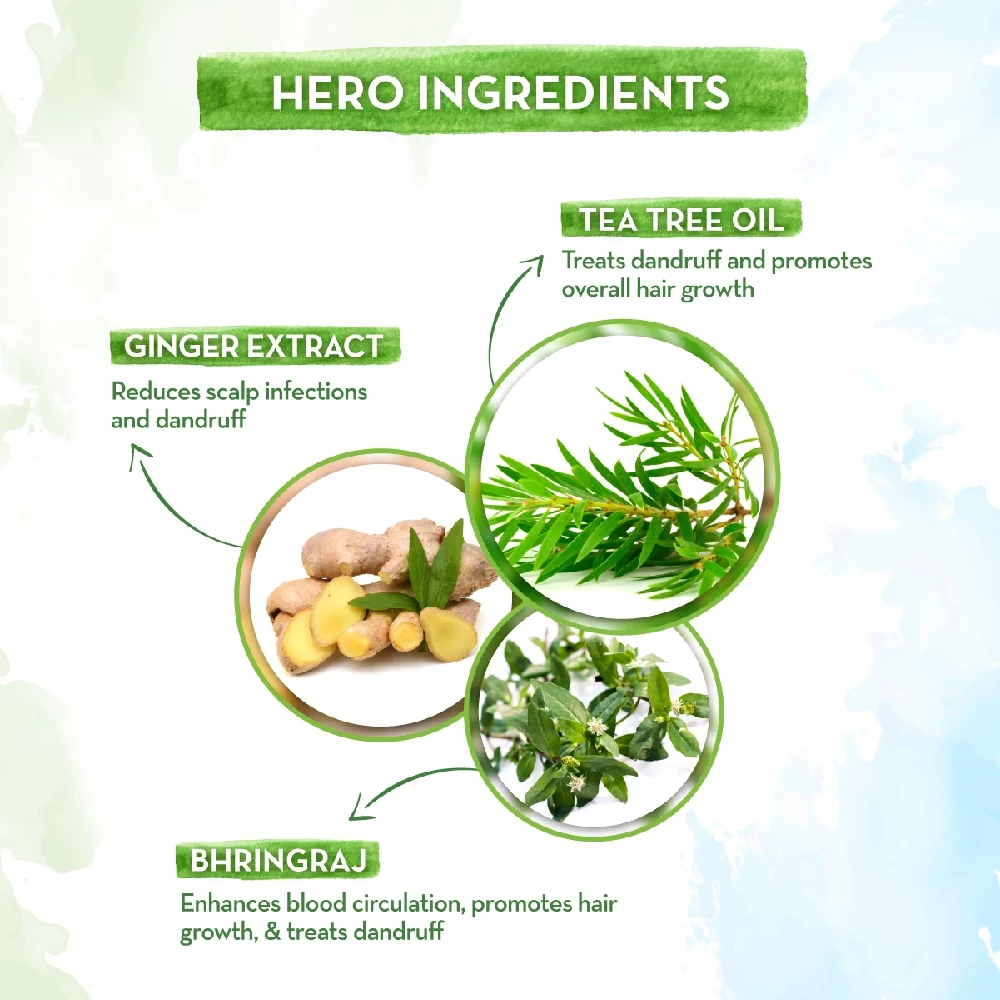 Tea Tree Hair Oil with Tea Tree and Ginger Oil for Dandruff Free Hair, 250 ml-4.webp